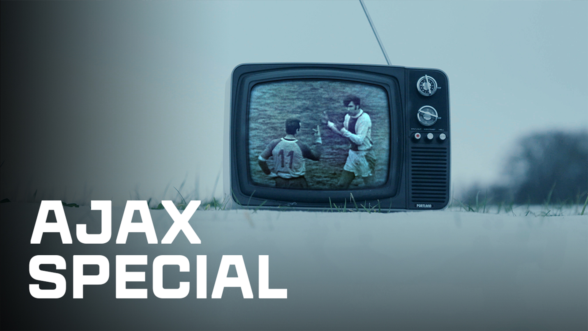 Special | De Noppenaffaire