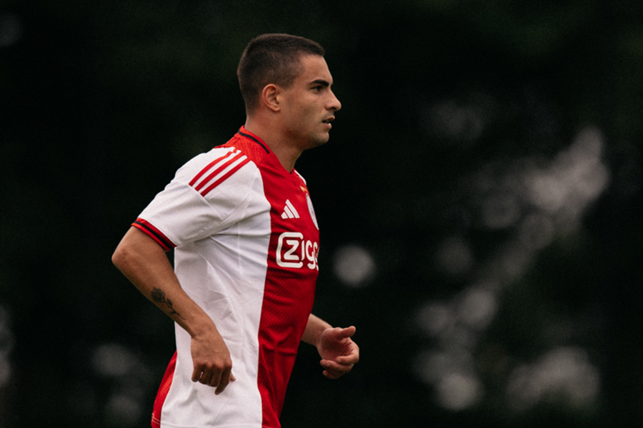 Lucasrosaeerstehelft