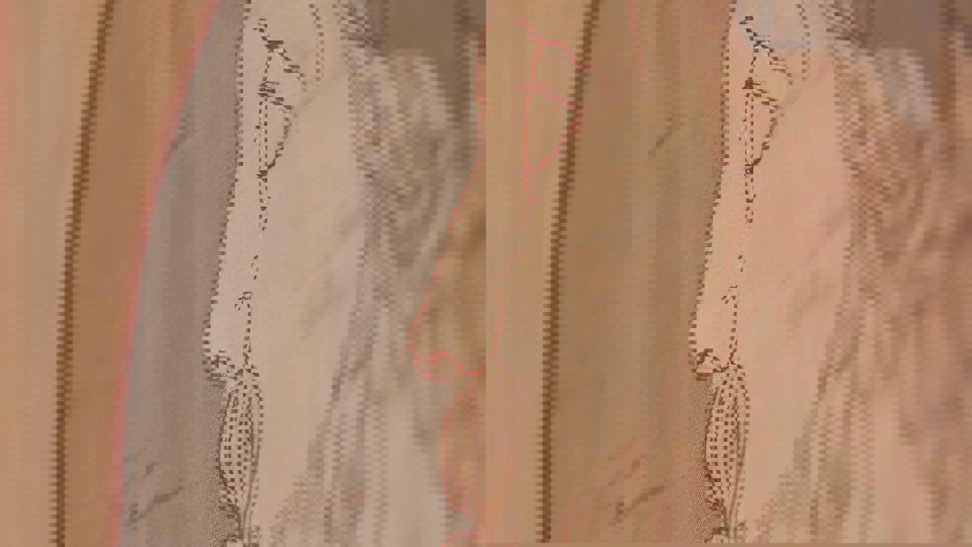 Schatkist Logo Still