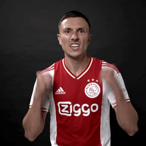 Goal Gif Berghuis Thuis